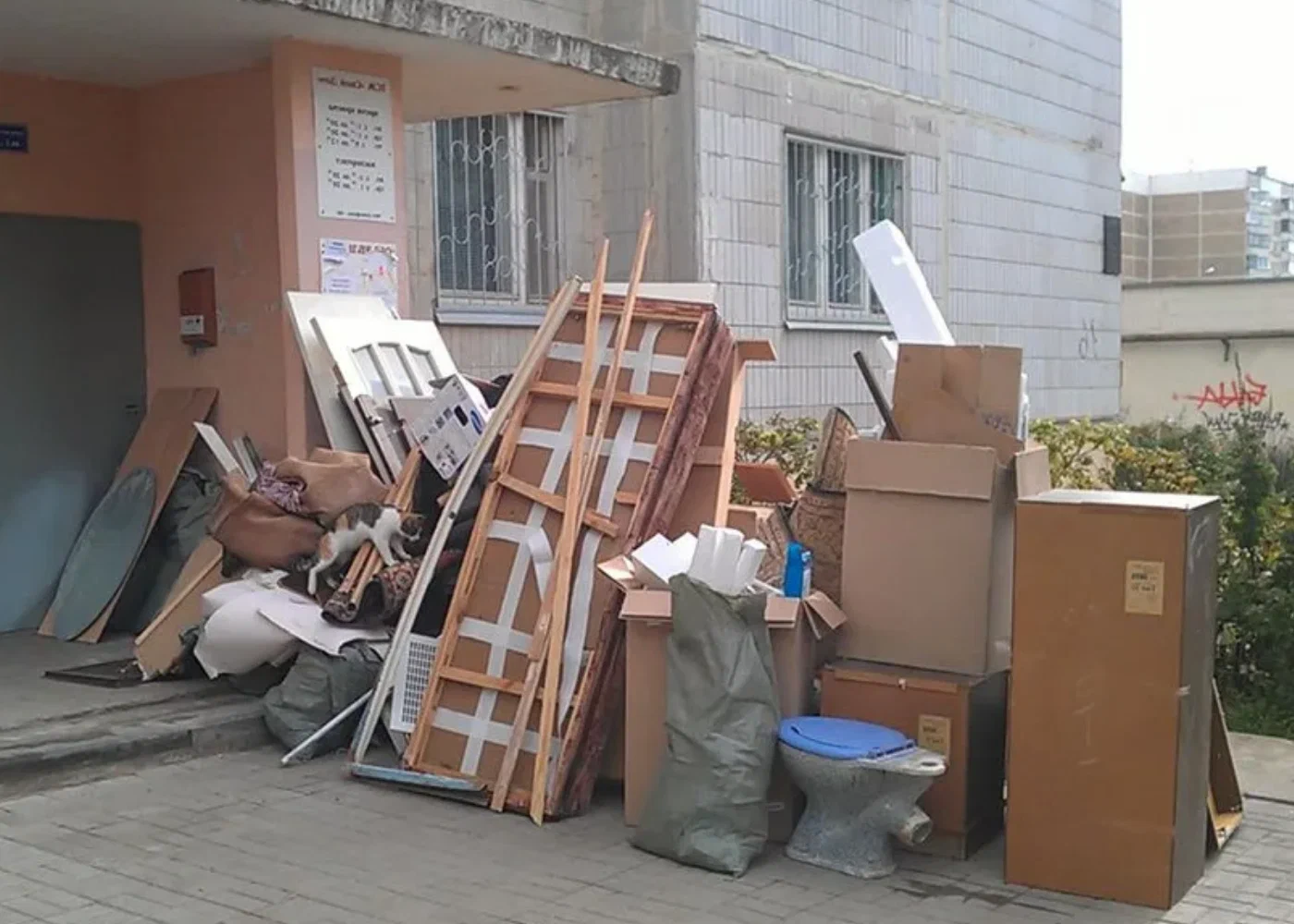 Профессиональный вывоз мусора из квартиры в Ярцеве в октябре