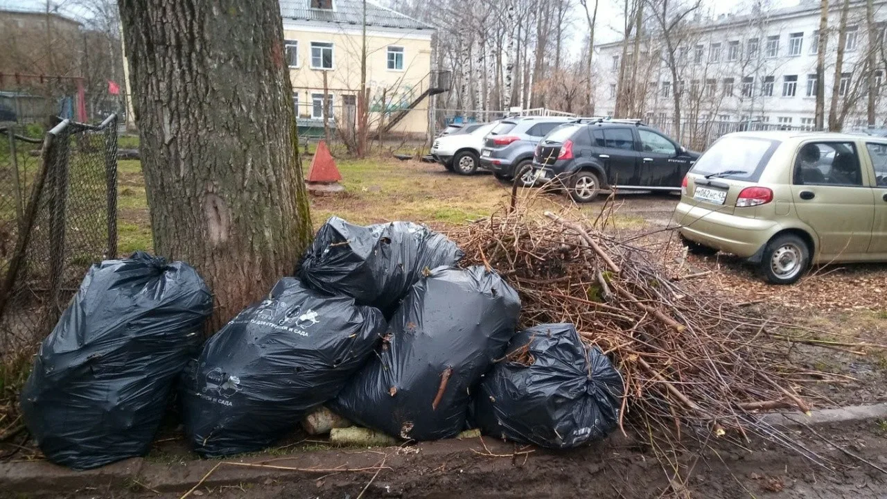 Вывоз мусора после субботника в Ярцеве от ПроМусор – уборка и утилизация отходов от 2391 руб