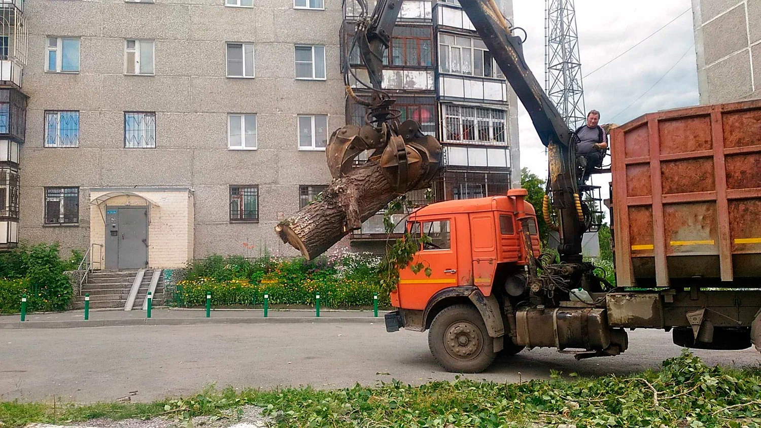 Вывоз спиленных веток и деревьев в Ярцеве от ПроМусор: порубочные остатки, утилизация, цена от 2950 руб