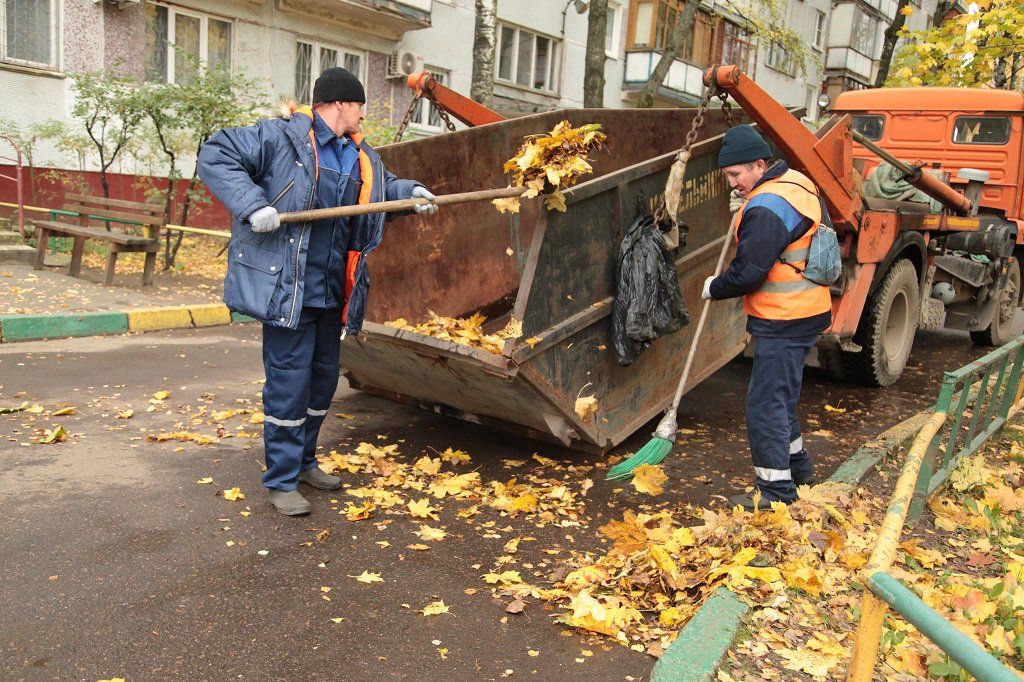 Вывоз опавшей листвы и растительного мусора в Ярцеве от ПроМусор – цена от 4578 руб., быстрая уборка и утилизация